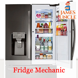 Fridge mechanic Mr. Nilav Sarkar in Andul Mourigram